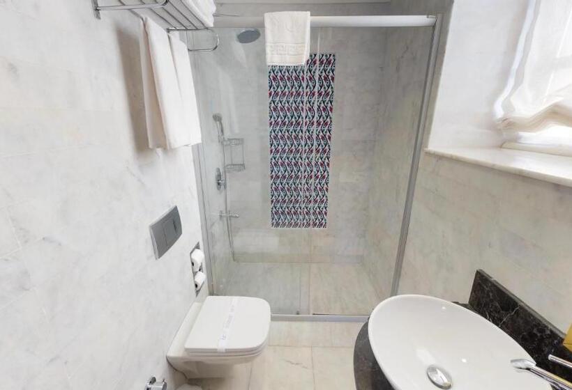 اتاق سوپریور سه تخته, 1207 Special Class