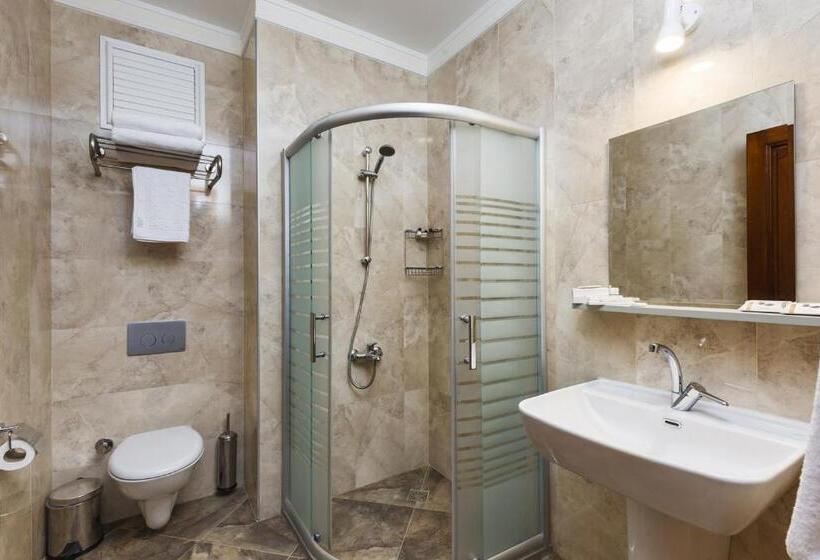 اتاق سوپریور سه تخته, 1207 Special Class