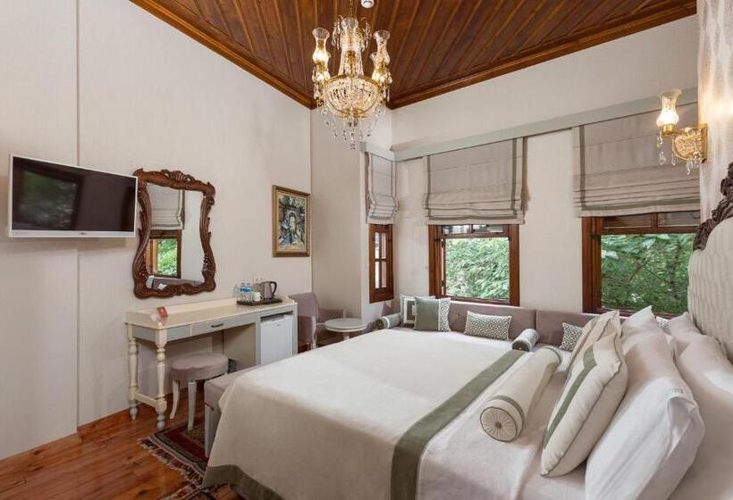 سوییت جونیور, 1207 Special Class