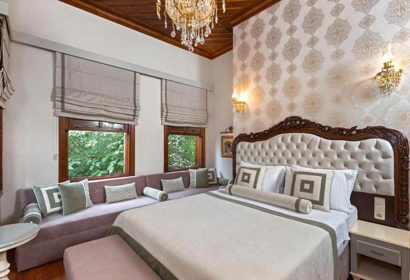 سوییت جونیور, 1207 Special Class