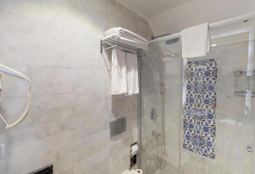 اتاق اکونومی, 1207 Special Class