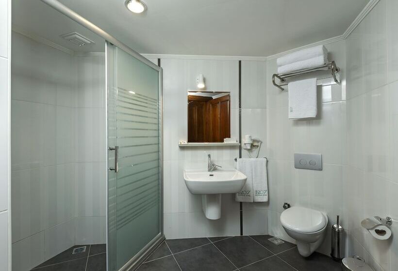 اتاق سوپریور یک تخته, 1207 Special Class