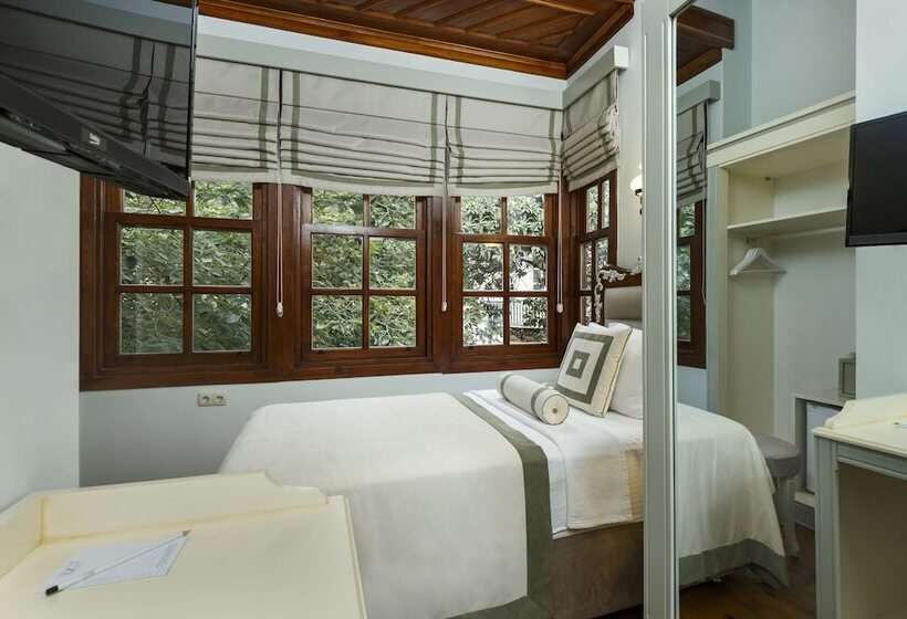 اتاق سوپریور یک تخته, 1207 Special Class