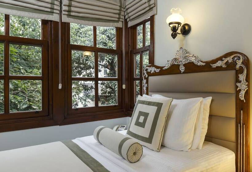 اتاق سوپریور یک تخته, 1207 Special Class