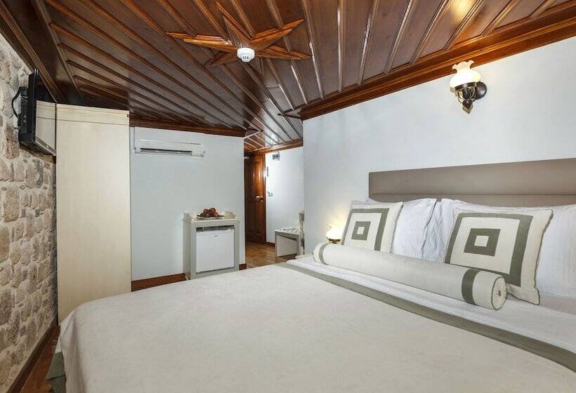 اتاق سوپریور, 1207 Special Class