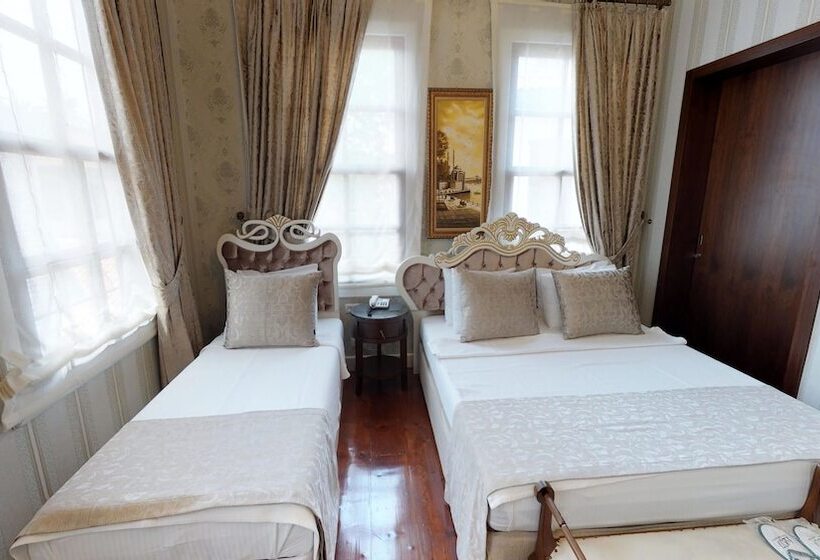 اتاق سوپریور سه تخته, 1207 Special Class