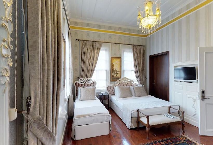 اتاق سوپریور سه تخته, 1207 Special Class