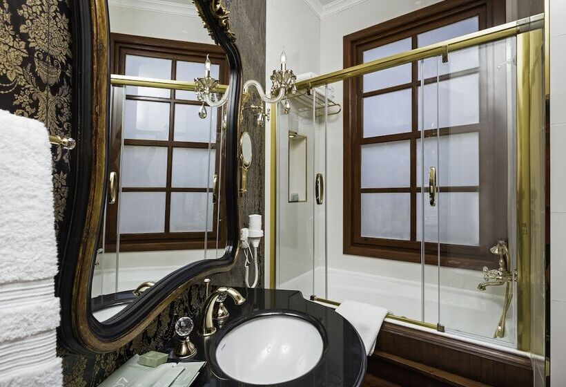 سوییت لوکس, 1207 Special Class