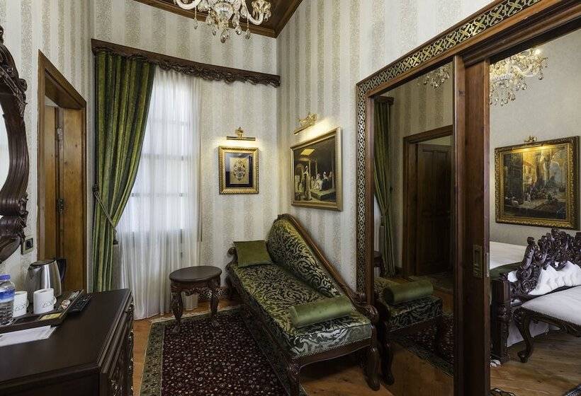 سوییت لوکس, 1207 Special Class