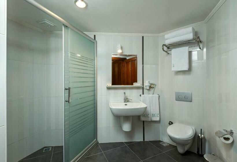 اتاق سوپریور, 1207 Special Class