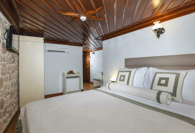 اتاق سوپریور, 1207 Special Class