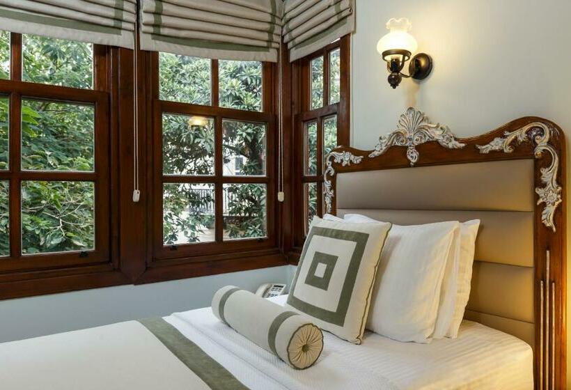 اتاق سوپریور یک تخته, 1207 Special Class