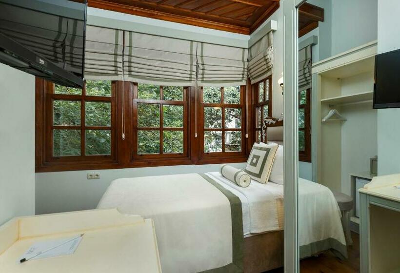 اتاق سوپریور یک تخته, 1207 Special Class