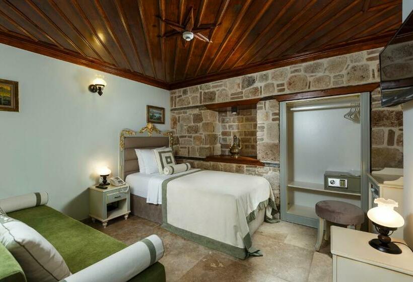 اتاق سوپریور یک تخته, 1207 Special Class