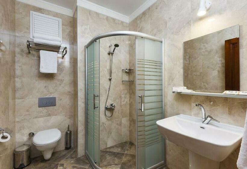 اتاق سوپریور یک تخته, 1207 Special Class