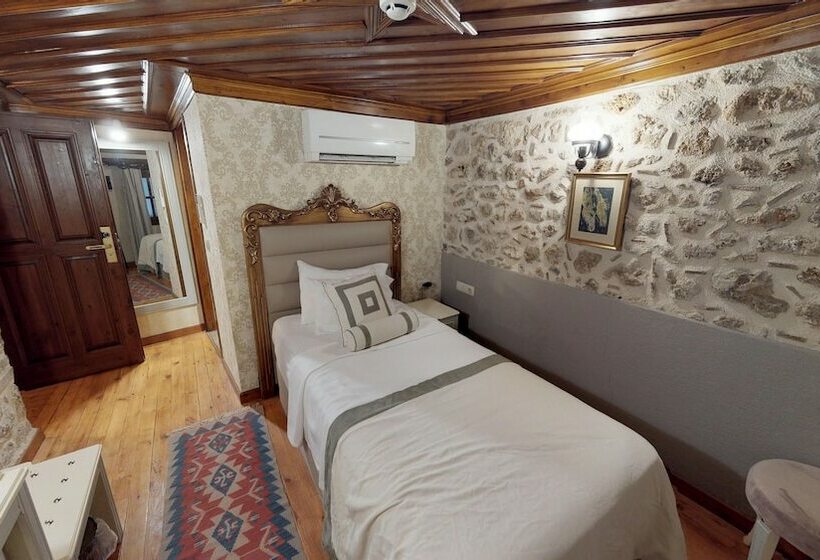 اتاق سوپریور یک تخته, 1207 Special Class