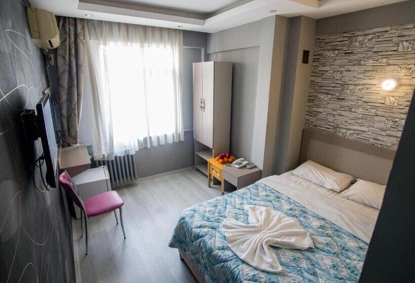 Chambre Standard Individuelle, Fly