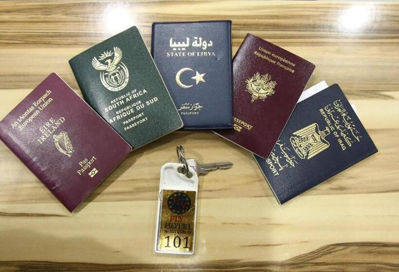 Chambre Standard Individuelle, Fly