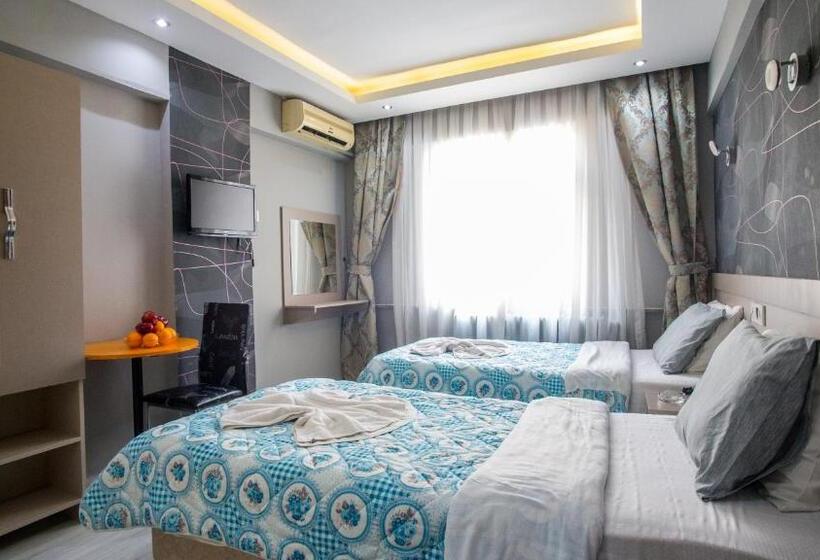 Chambre Standard, Fly