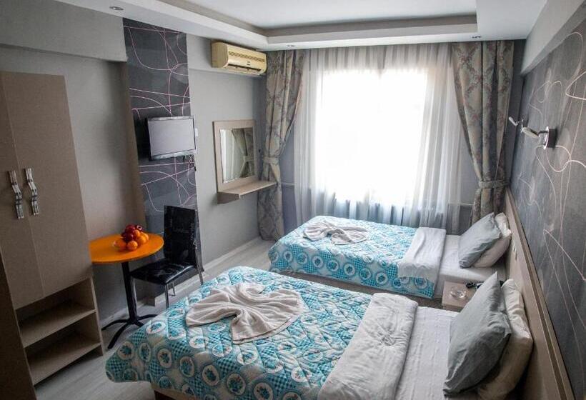 Chambre Standard, Fly