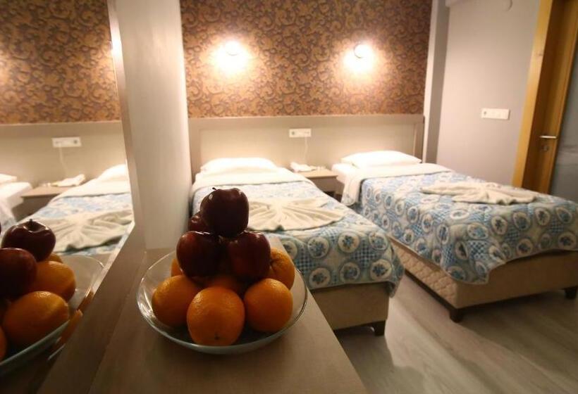 Chambre Standard, Fly