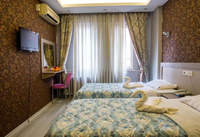 Chambre Standard, Fly