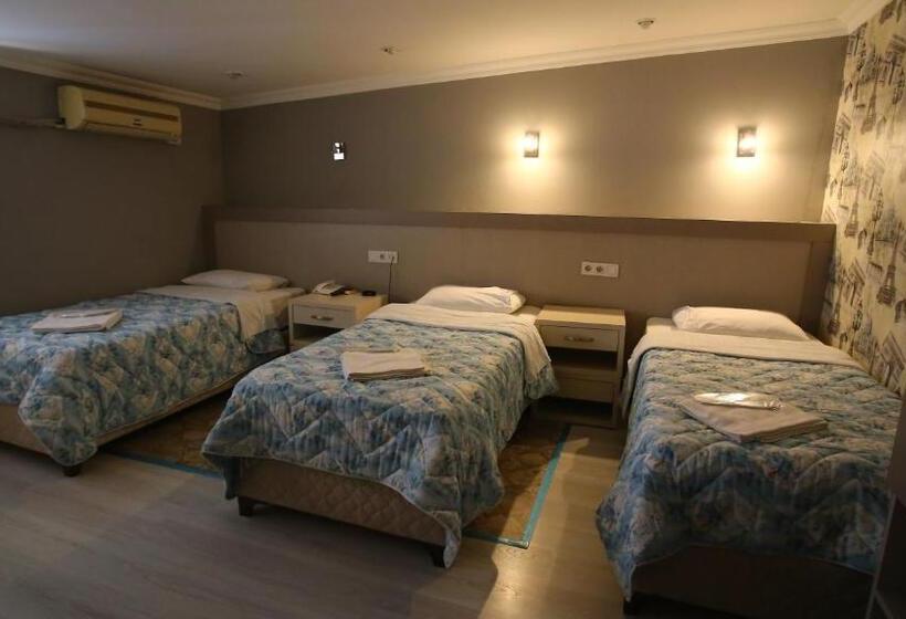 Chambre Triple Standard avec Balcon, Fly