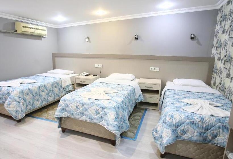 Chambre Triple Standard avec Balcon, Fly