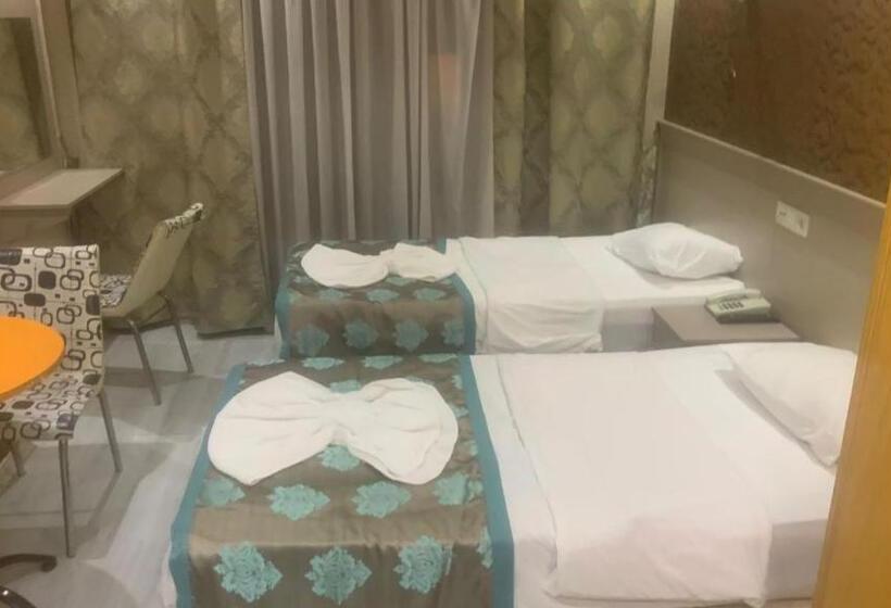 Chambre Standard Individuelle, Fly