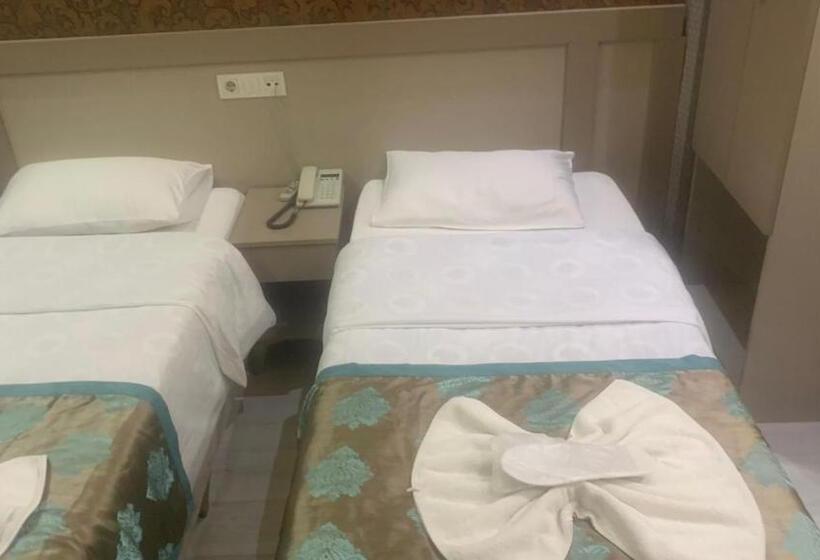 Chambre Standard, Fly