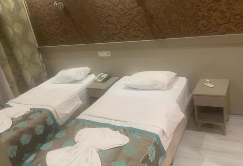 Chambre Standard, Fly