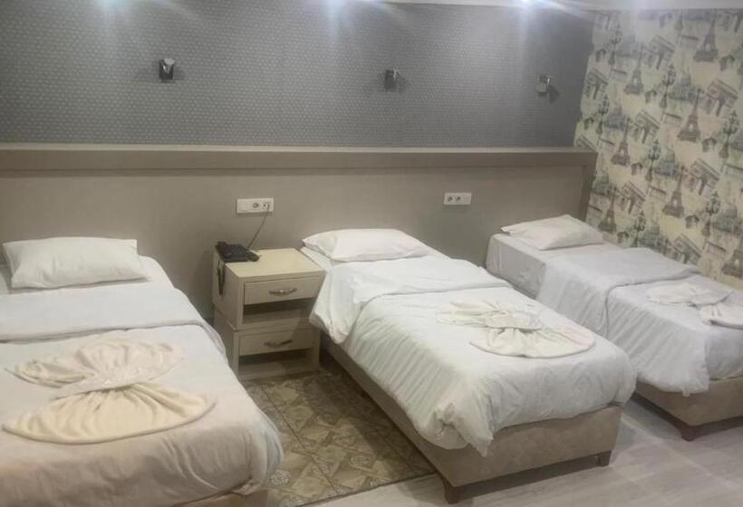 Chambre Triple Standard avec Balcon, Fly