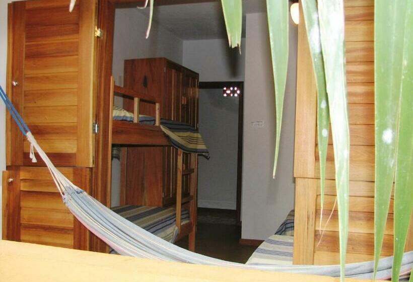 غرفة قياسية رباعية, O Pharol Hostel E Pousada