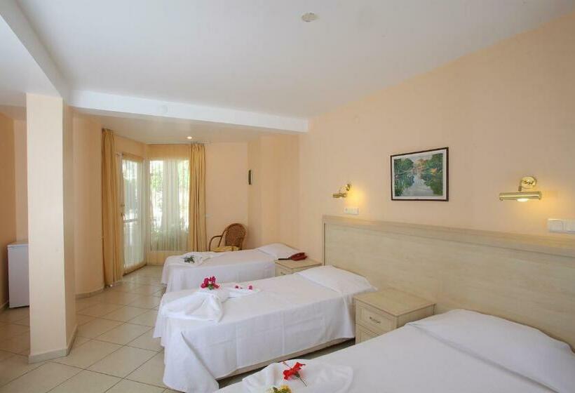 חדר סטנדרט לשלושה, Catamaran