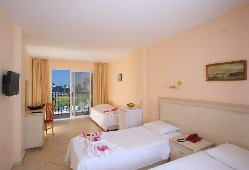 חדר סטנדרט לשלושה, Catamaran