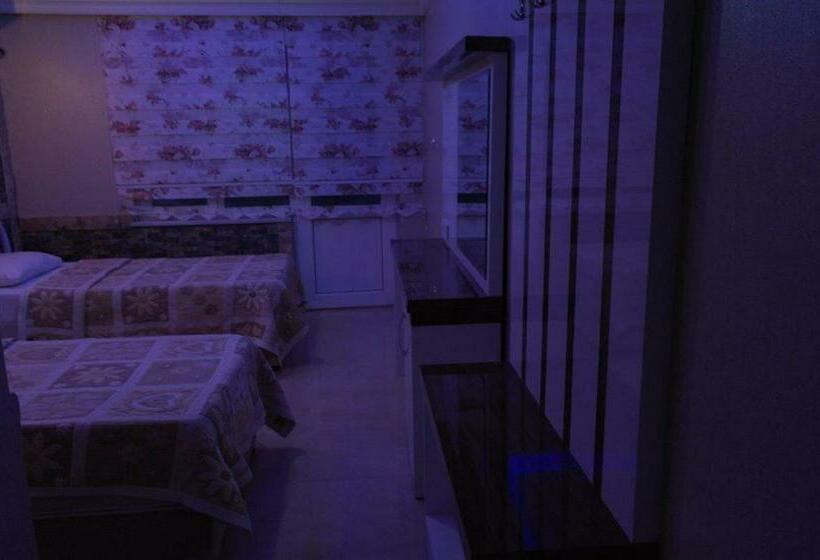 スタンダードトリプルルーム, Dolphin Yunus