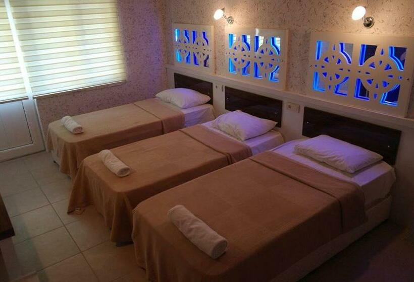 ファミリールーム, Dolphin Yunus