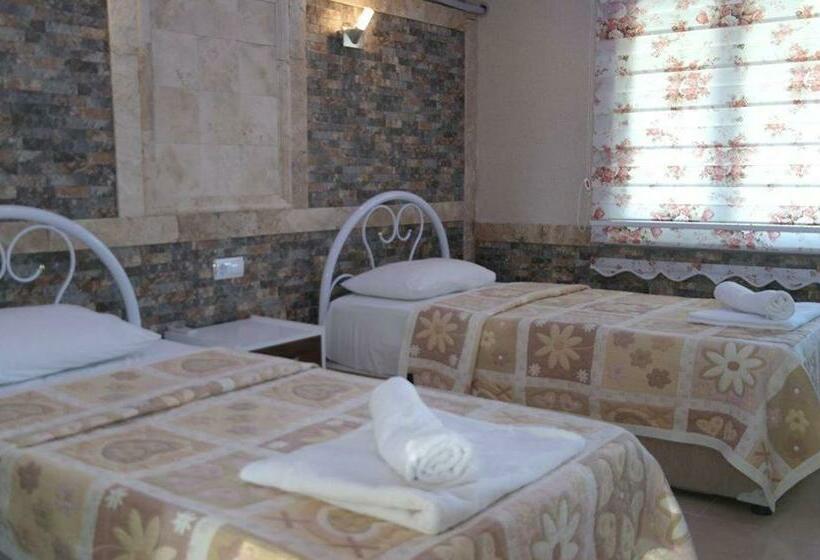 スタンダードルーム, Dolphin Yunus