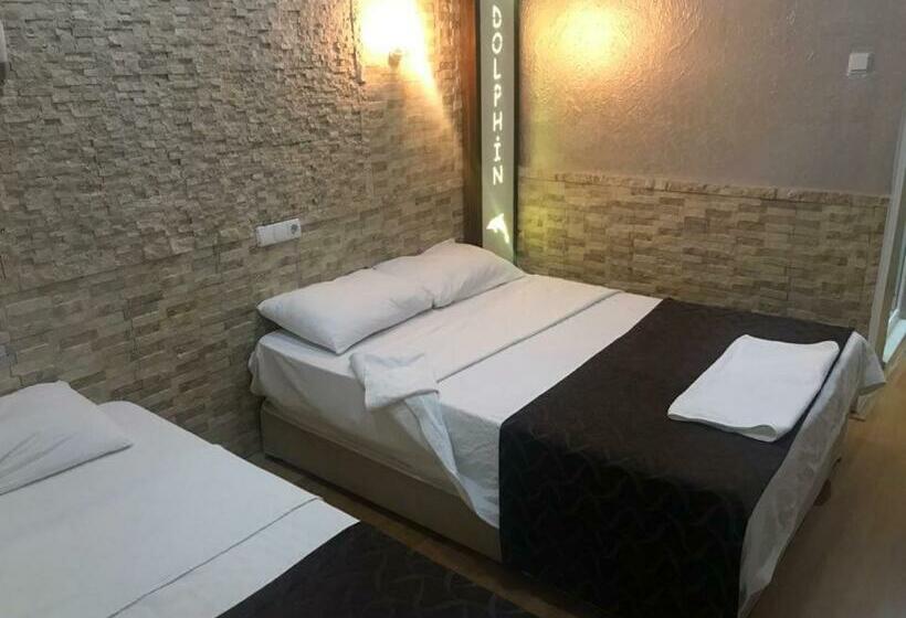 スタンダードルーム, Dolphin Yunus