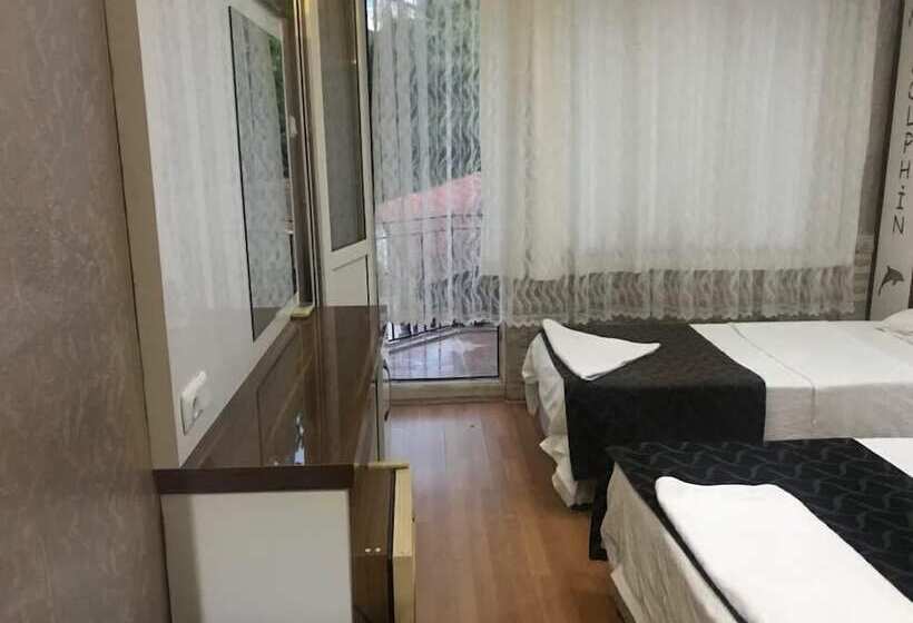 スタンダードルーム, Dolphin Yunus