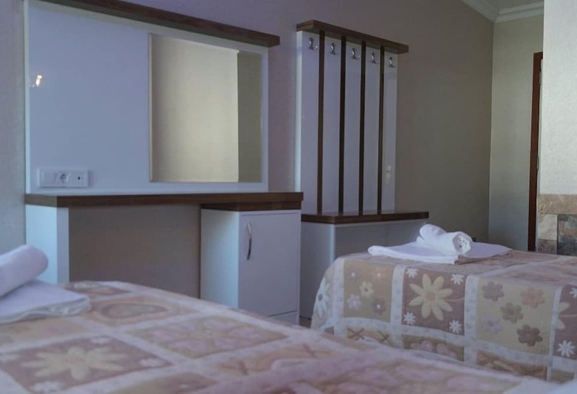 スタンダードルーム, Dolphin Yunus