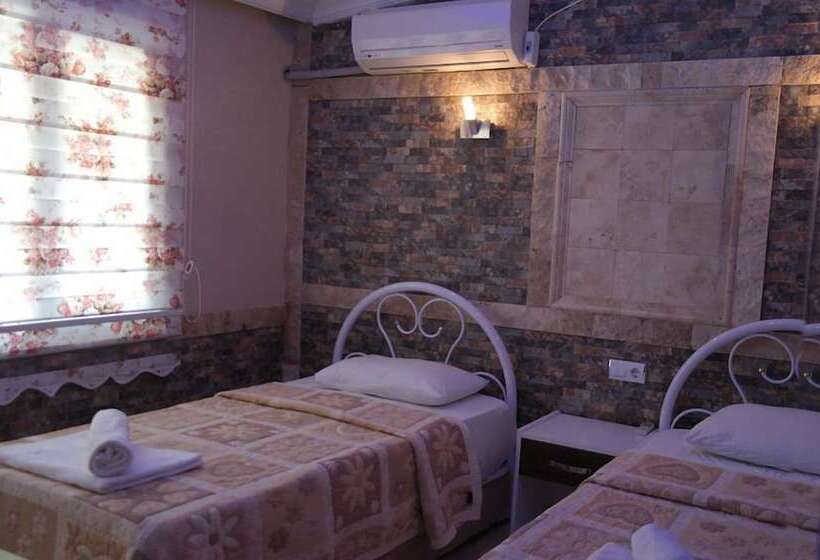 スタンダードルーム, Dolphin Yunus