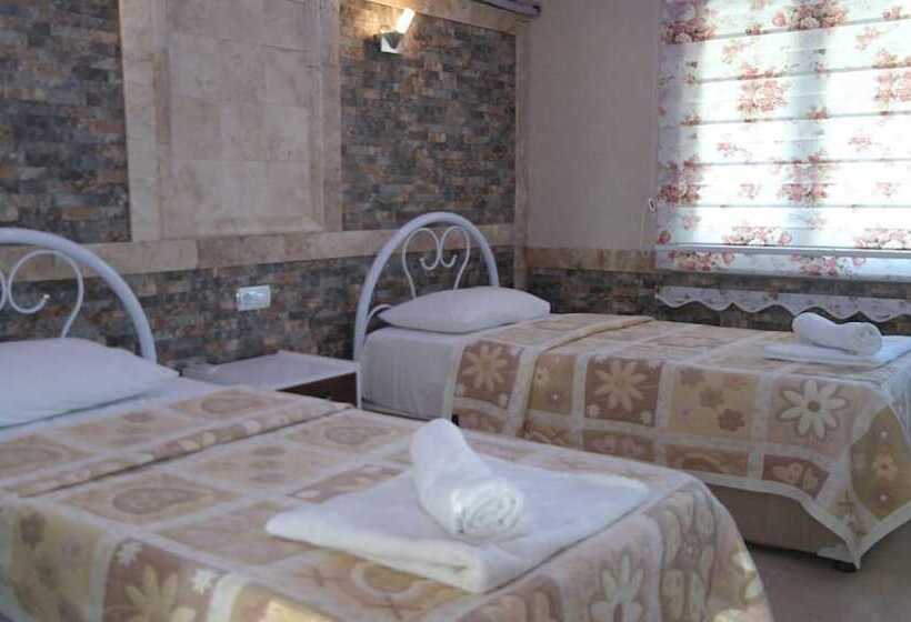 スタンダードルーム, Dolphin Yunus