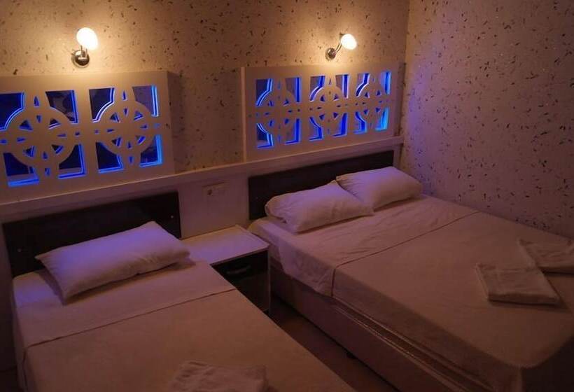 スタンダードトリプルルーム, Dolphin Yunus