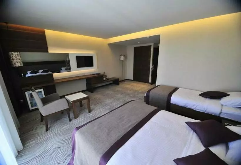 スタンダードルーム, Grand Cenas