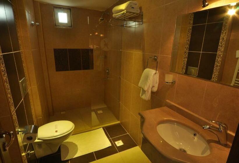 اتاق سوپریور, Lalehan Hotel Special Class