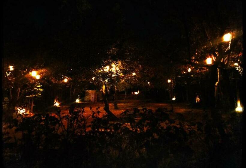 اتاق استاندارد, Miro Mara Boutique Hotel & Lounge Bar