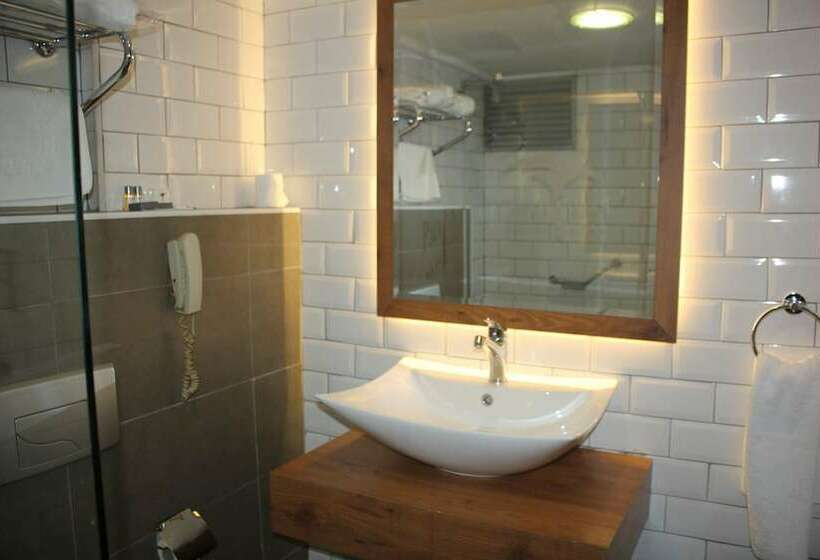 غرفة قياسية, Palm City Akhisar