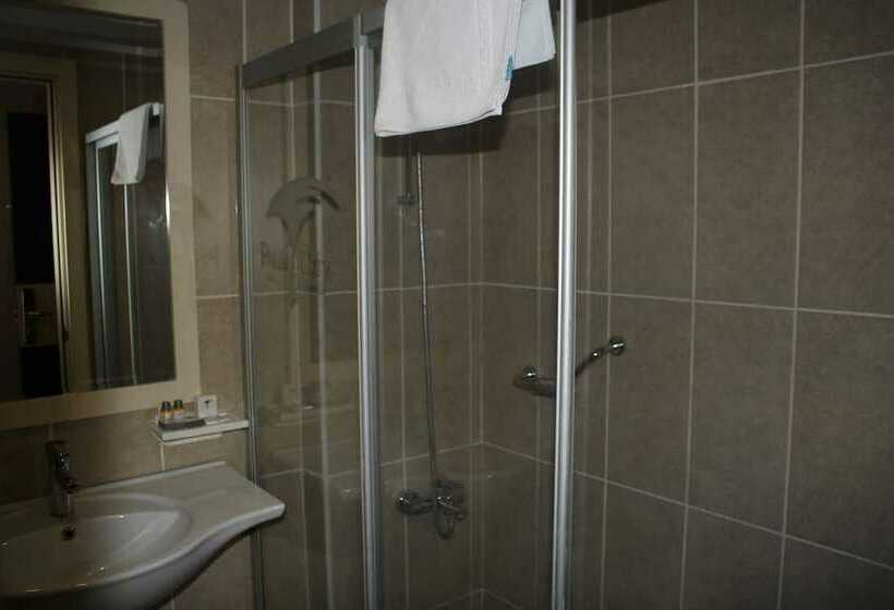 غرفة قياسية, Palm City Akhisar