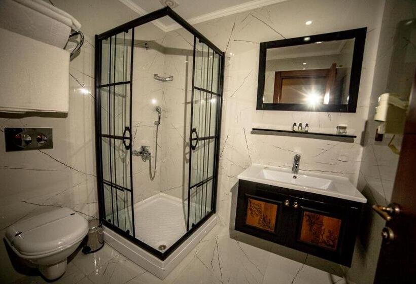 Номер Стандарт, Panderma Port